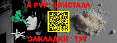 стаф Кингисепп