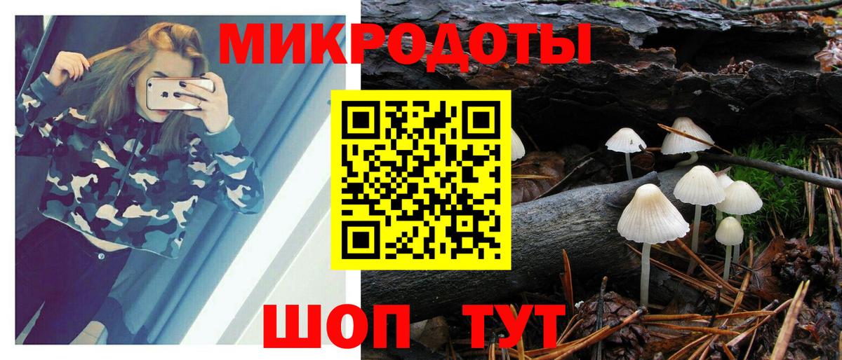 Мыски  Галлюциногенные грибы прущие грибы  Галлюциногенные грибы Psilocybine cubensis  Вход с VPN 